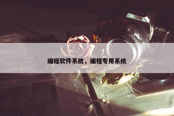 编程软件系统，编程专用系统