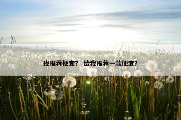 找推荐便宜？ 给我推荐一款便宜？