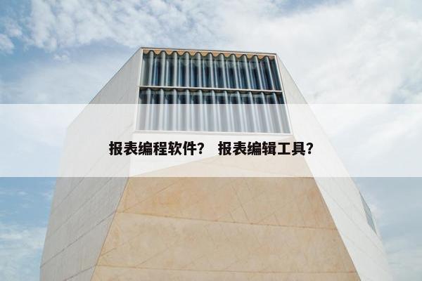 报表编程软件？ 报表编辑工具？