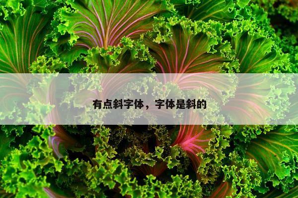 有点斜字体，字体是斜的