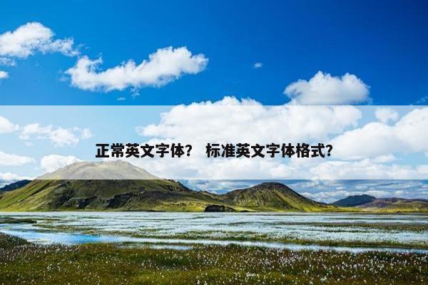 正常英文字体？ 标准英文字体格式？