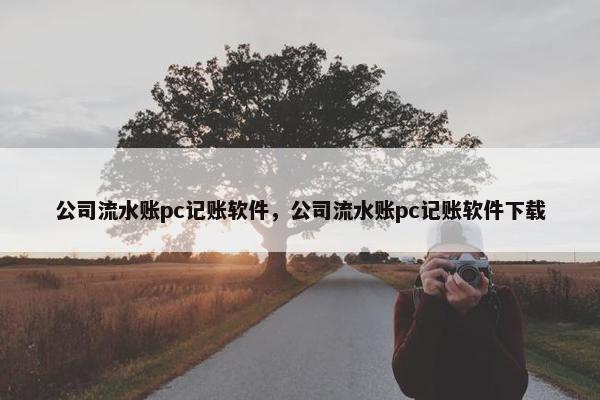 公司流水账pc记账软件，公司流水账pc记账软件下载
