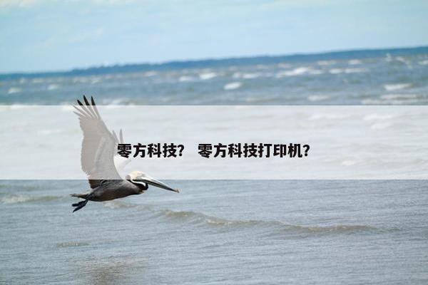 零方科技？ 零方科技打印机？