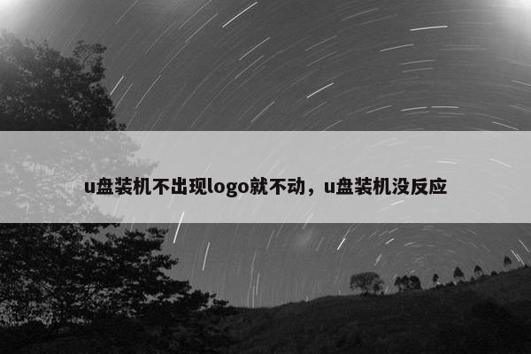 u盘装机不出现logo就不动，u盘装机没反应