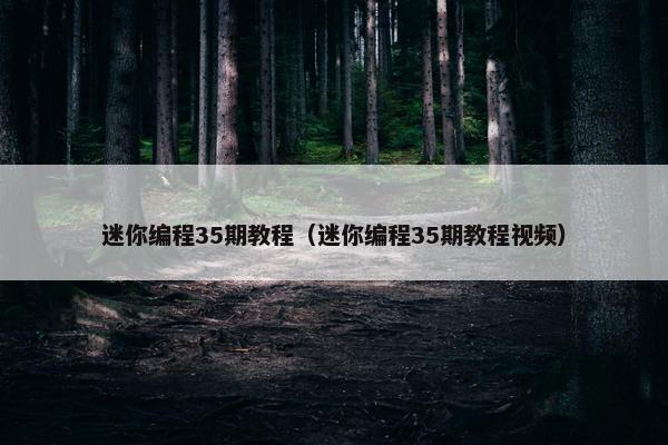 迷你编程35期教程（迷你编程35期教程视频）
