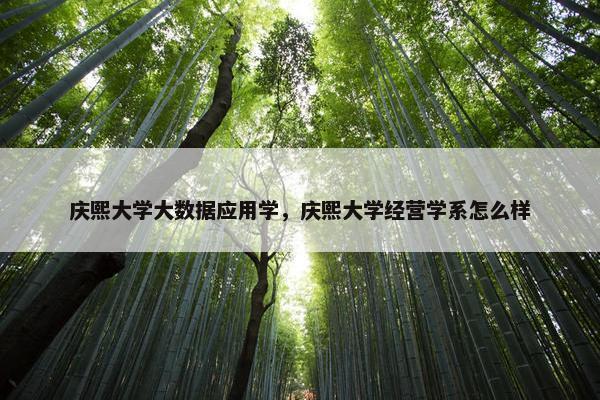 庆熙大学大数据应用学，庆熙大学经营学系怎么样