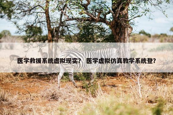医学救援系统虚拟现实？ 医学虚拟仿真教学系统登？