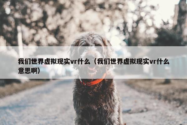 我们世界虚拟现实vr什么（我们世界虚拟现实vr什么意思啊）