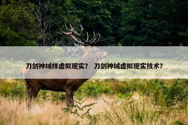 刀剑神域样虚拟现实？ 刀剑神域虚拟现实技术？