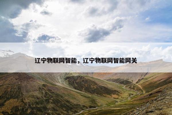 辽宁物联网智能，辽宁物联网智能网关