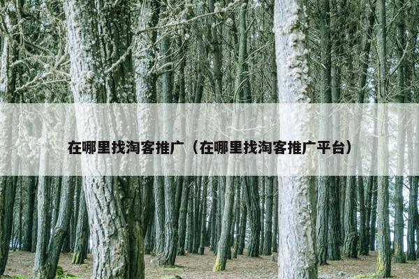 在哪里找淘客推广（在哪里找淘客推广平台）