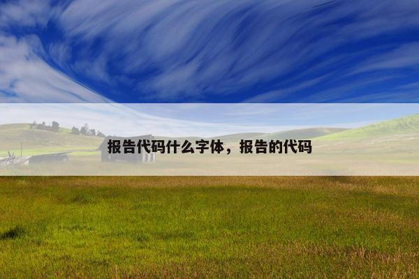 报告代码什么字体，报告的代码