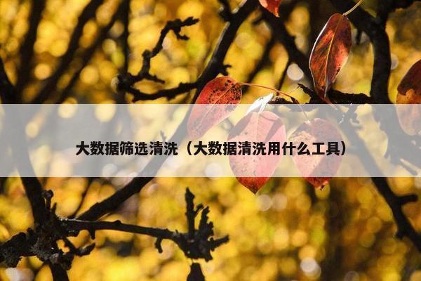 大数据筛选清洗（大数据清洗用什么工具）