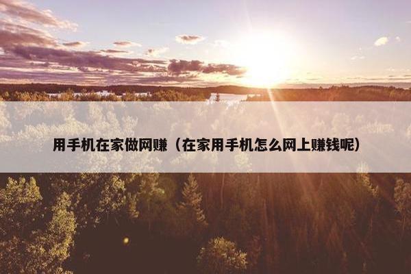 用手机在家做网赚（在家用手机怎么网上赚钱呢）