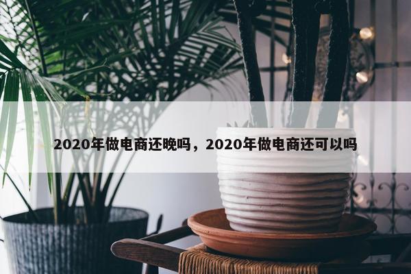 2020年做电商还晚吗，2020年做电商还可以吗