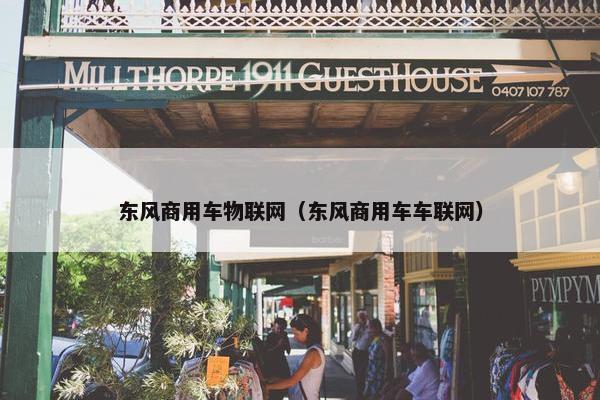 东风商用车物联网（东风商用车车联网）