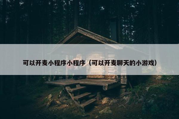 可以开麦小程序小程序（可以开麦聊天的小游戏）