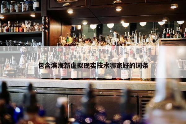 包含滨海新虚拟现实技术哪家好的词条