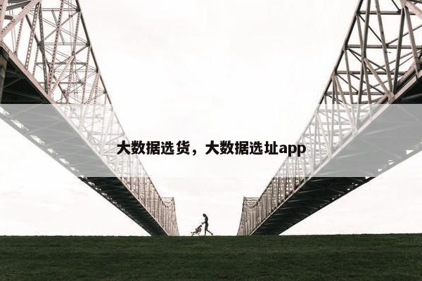 大数据选货，大数据选址app