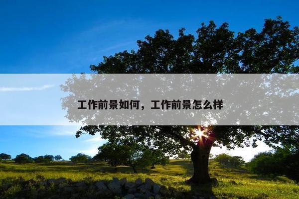 工作前景如何，工作前景怎么样