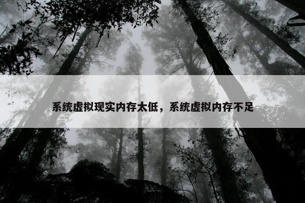 系统虚拟现实内存太低，系统虚拟内存不足