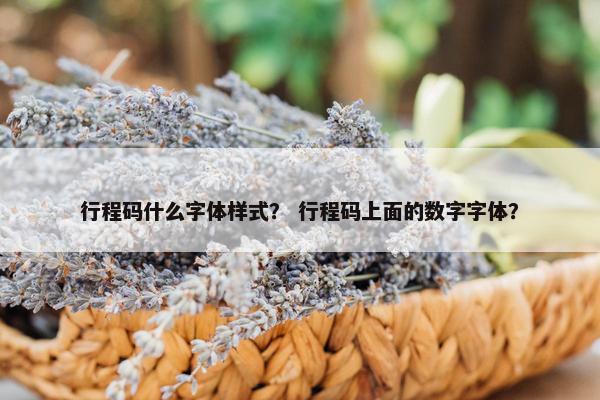 行程码什么字体样式？ 行程码上面的数字字体？