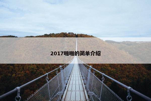 2017啪啪的简单介绍
