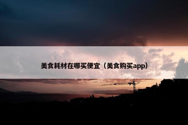 美食耗材在哪买便宜（美食购买app）