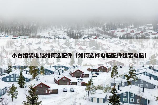 小白组装电脑如何选配件（如何选择电脑配件组装电脑）