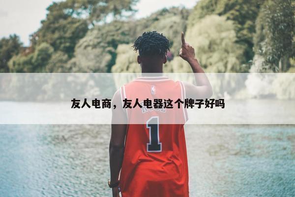 友人电商，友人电器这个牌子好吗