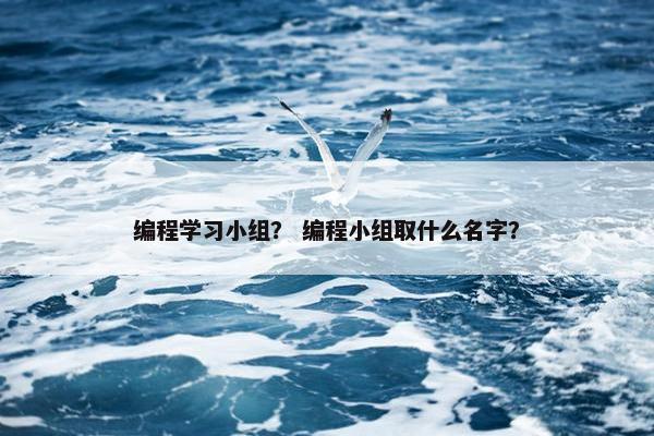 编程学习小组？ 编程小组取什么名字？