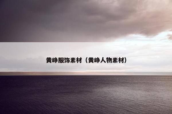 黄峥服饰素材（黄峥人物素材）