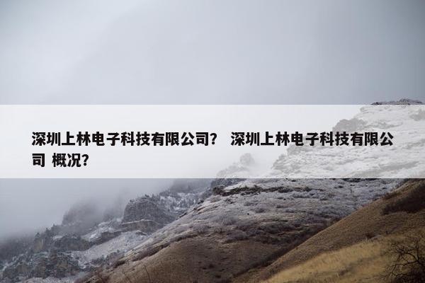 深圳上林电子科技有限公司？ 深圳上林电子科技有限公司 概况？