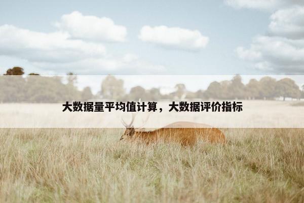 大数据量平均值计算，大数据评价指标