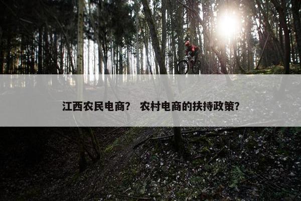 江西农民电商？ 农村电商的扶持政策？