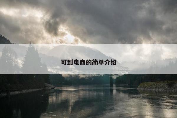 可到电商的简单介绍