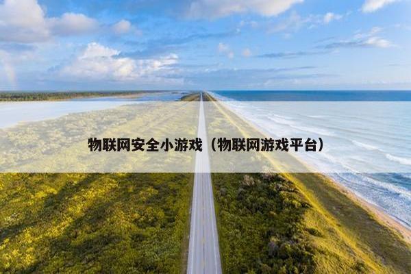 物联网安全小游戏（物联网游戏平台）