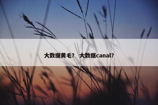 大数据黄毛？ 大数据canal？