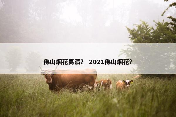 佛山烟花高清？ 2021佛山烟花？