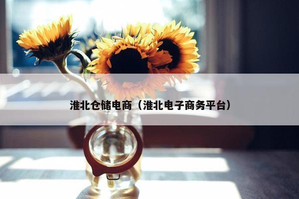 淮北仓储电商（淮北电子商务平台）
