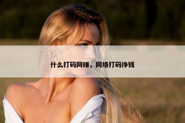 什么打码网赚，网络打码挣钱