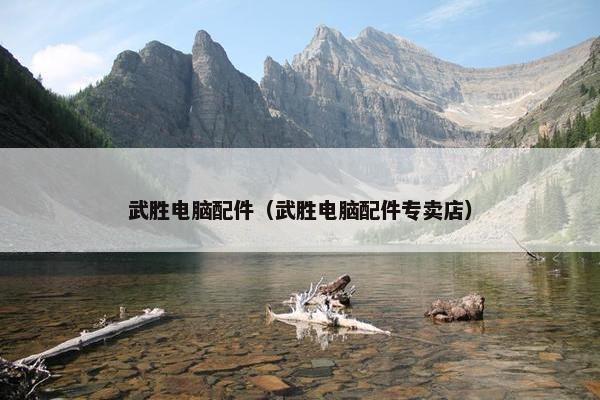 武胜电脑配件（武胜电脑配件专卖店）