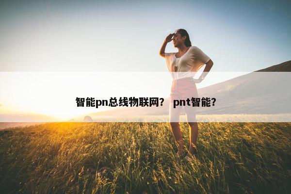 智能pn总线物联网？ pnt智能？