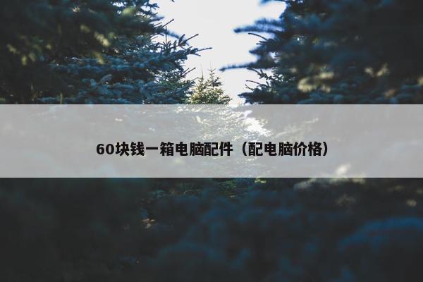 60块钱一箱电脑配件（配电脑价格）
