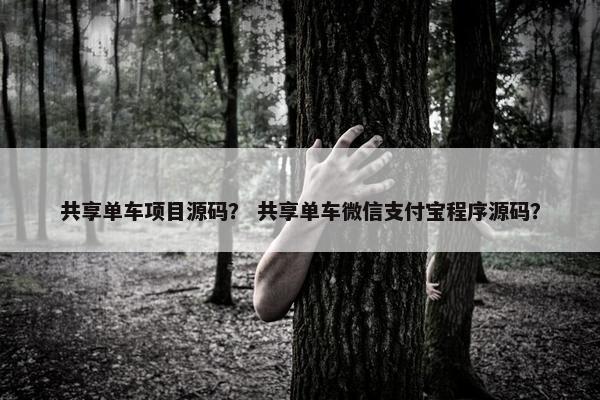 共享单车项目源码？ 共享单车微信支付宝程序源码？