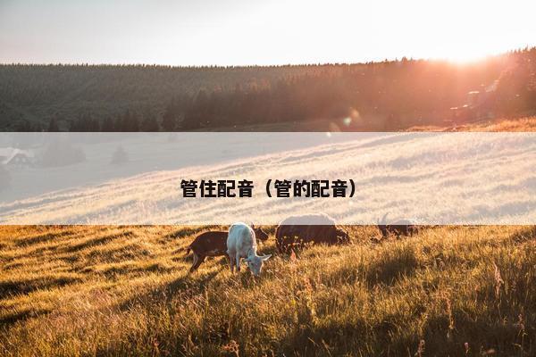 管住配音（管的配音）