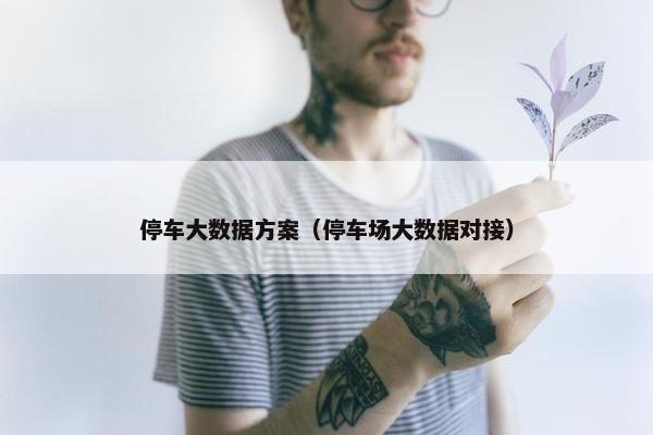 停车大数据方案（停车场大数据对接）