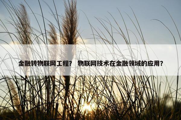 金融转物联网工程？ 物联网技术在金融领域的应用？