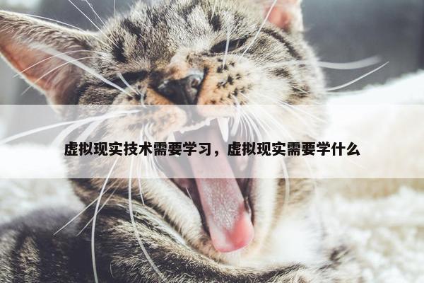 虚拟现实技术需要学习，虚拟现实需要学什么