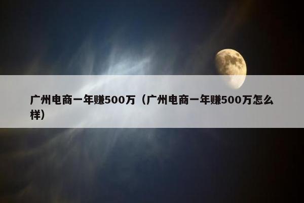 广州电商一年赚500万（广州电商一年赚500万怎么样）